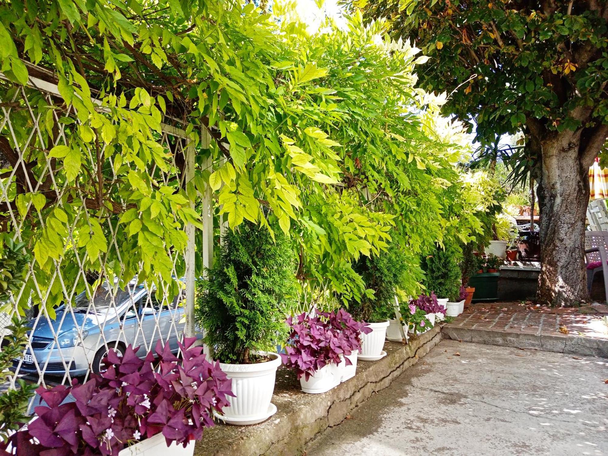 Belgrade Apartment Happy Garden Bagian luar foto