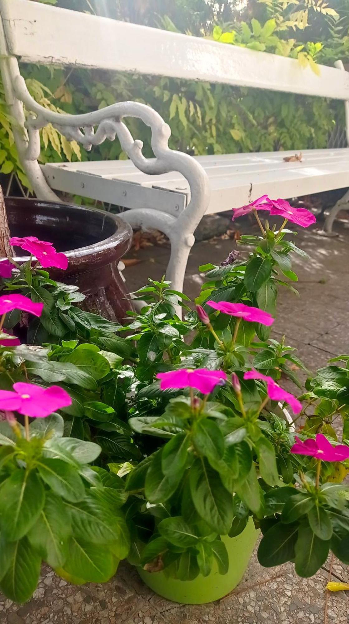 Belgrade Apartment Happy Garden Bagian luar foto