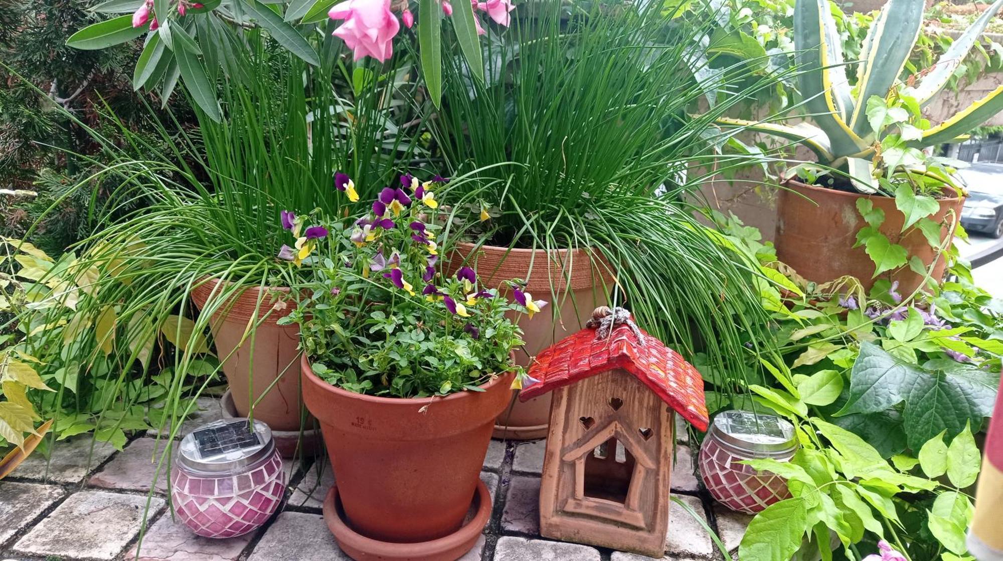 Belgrade Apartment Happy Garden Bagian luar foto
