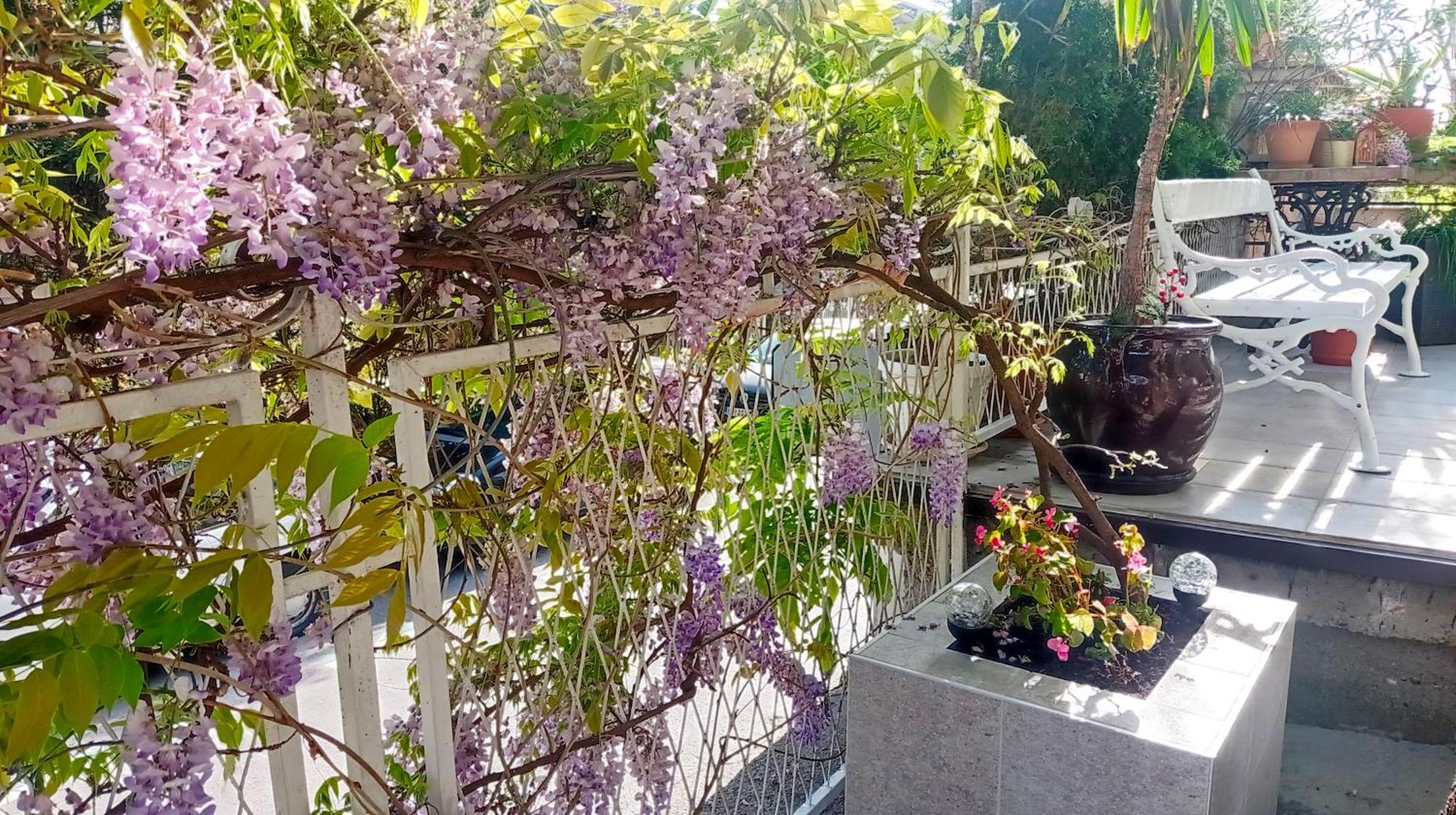 Belgrade Apartment Happy Garden Bagian luar foto