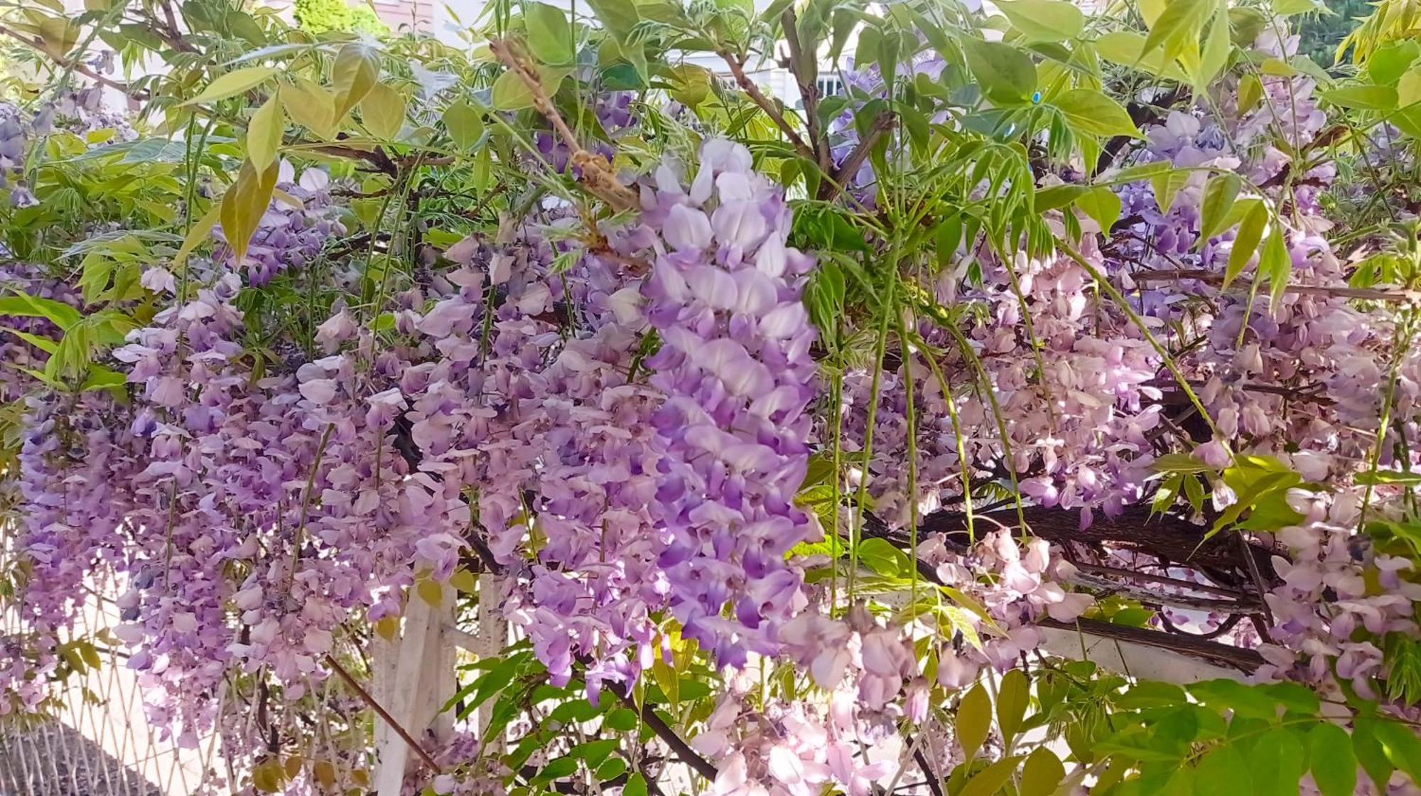 Belgrade Apartment Happy Garden Bagian luar foto