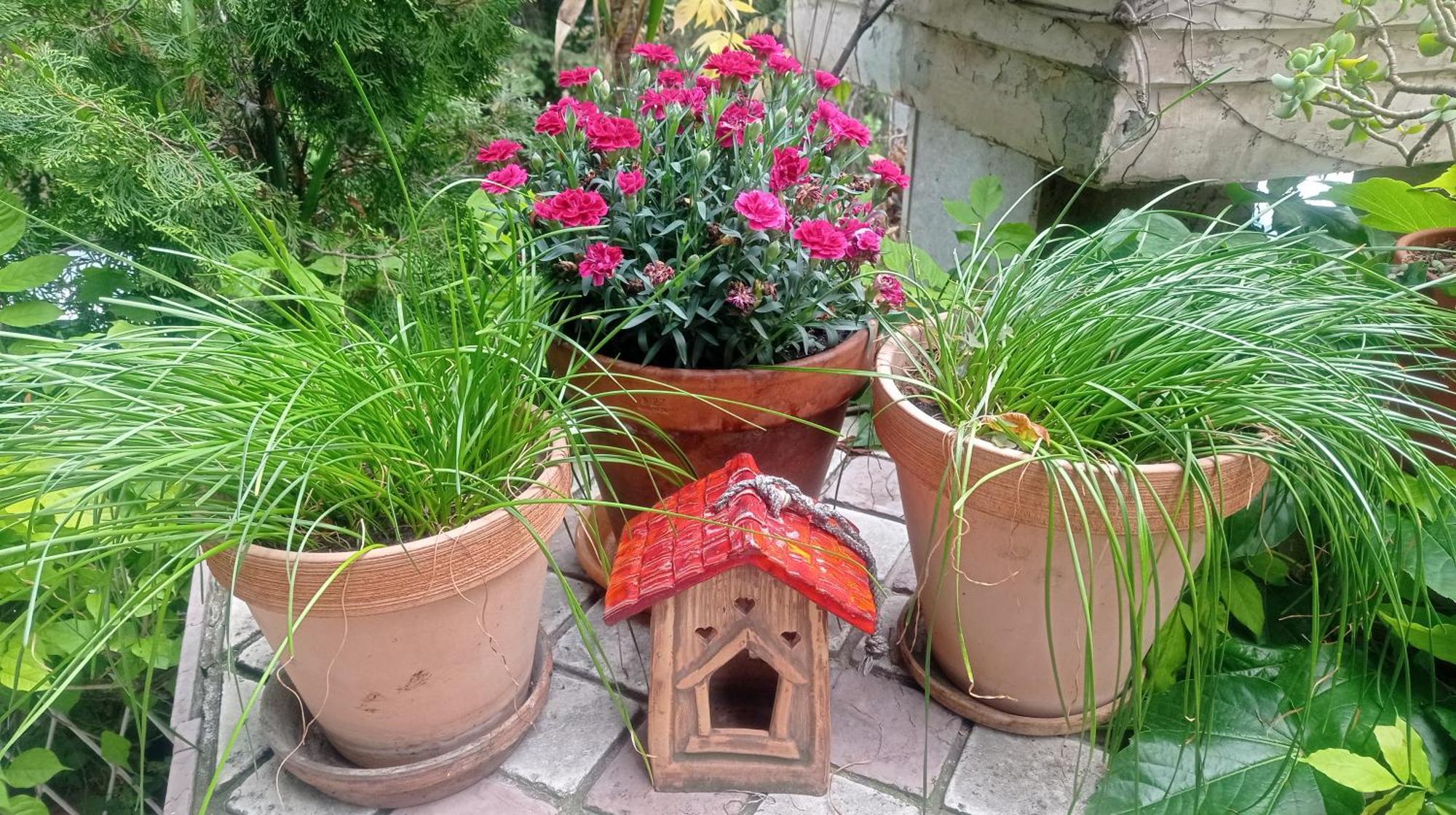 Belgrade Apartment Happy Garden Bagian luar foto